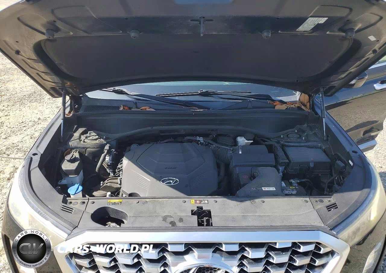 2020 Hyundai Palisade Sel VIN:KM8R34HE1LU094338 - 12