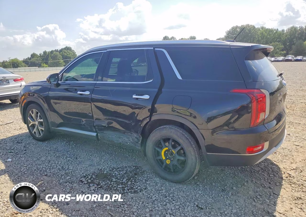 2020 Hyundai Palisade Sel VIN:KM8R34HE1LU094338 - 2