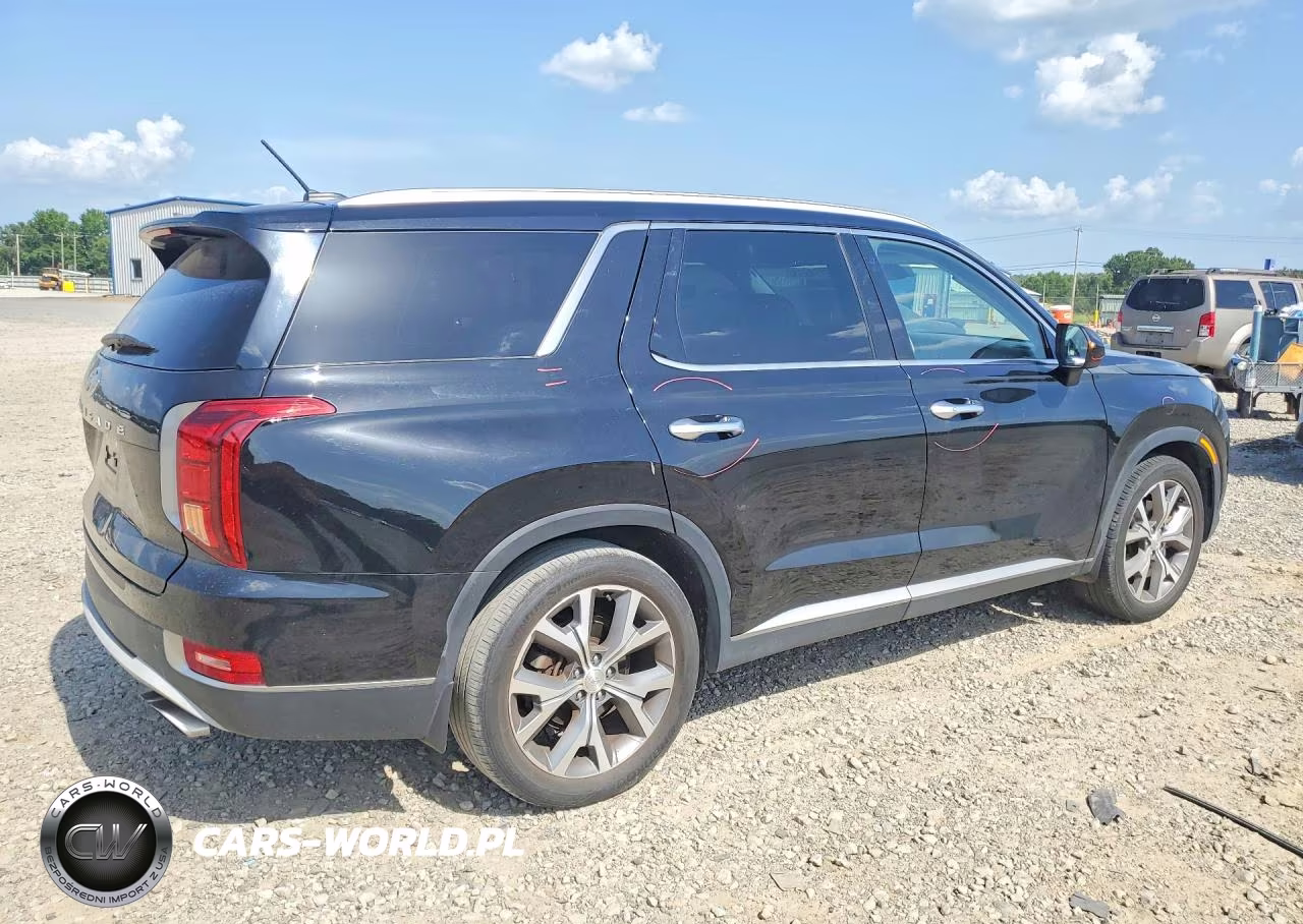 2020 Hyundai Palisade Sel VIN:KM8R34HE1LU094338 - 3