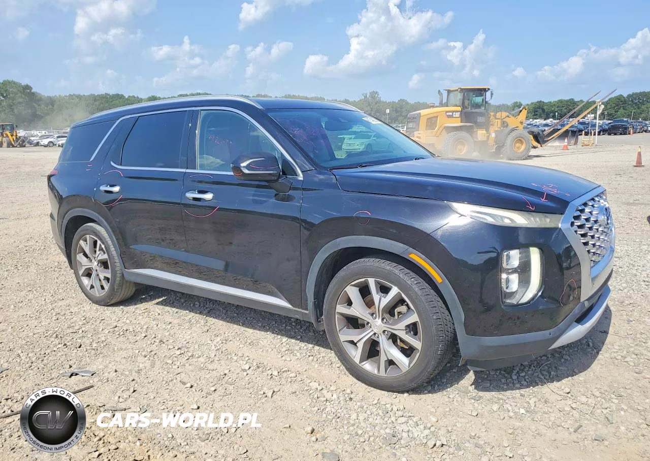 2020 Hyundai Palisade Sel VIN:KM8R34HE1LU094338 - 4