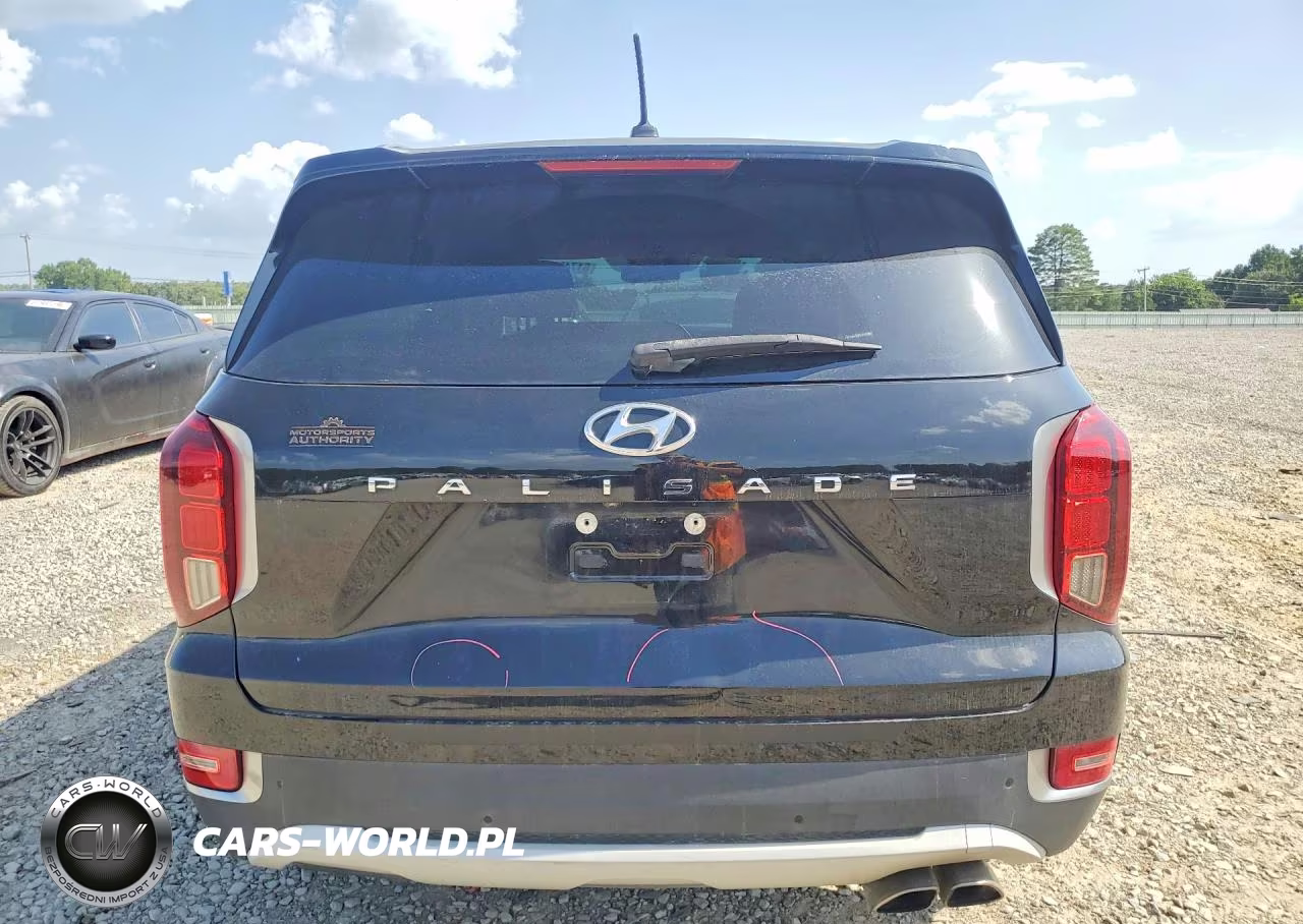 2020 Hyundai Palisade Sel VIN:KM8R34HE1LU094338 - 6