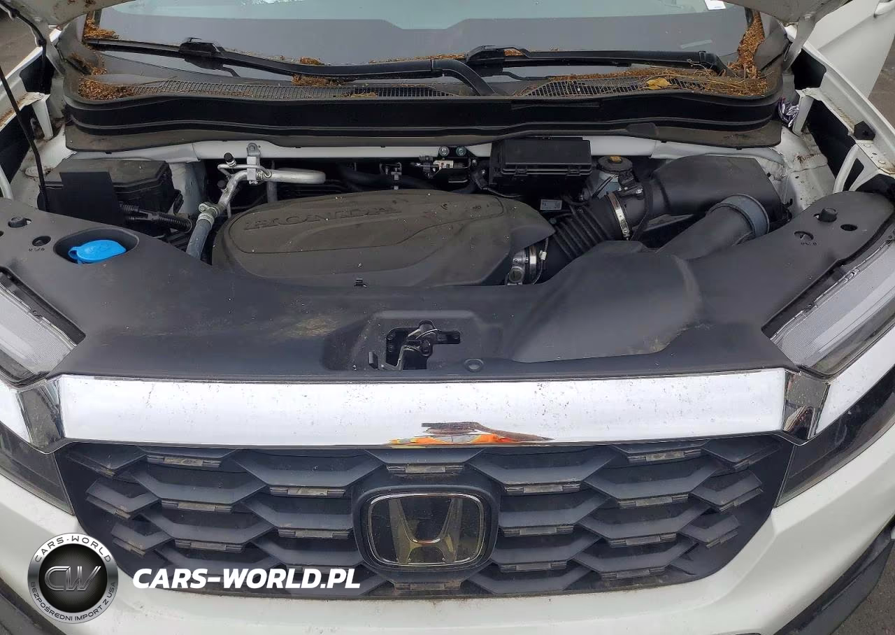 2024 Honda Passport Exl VIN:5FNYF8H55RB023160 - 11