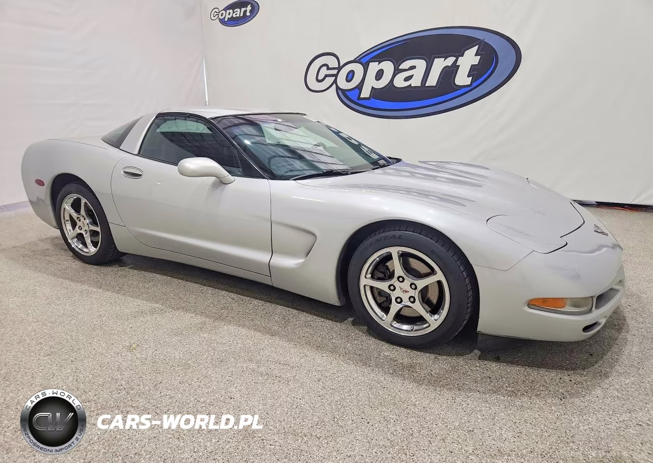 2003 Chevrolet Corvette VIN:1G1YY22GX35118977 - 4