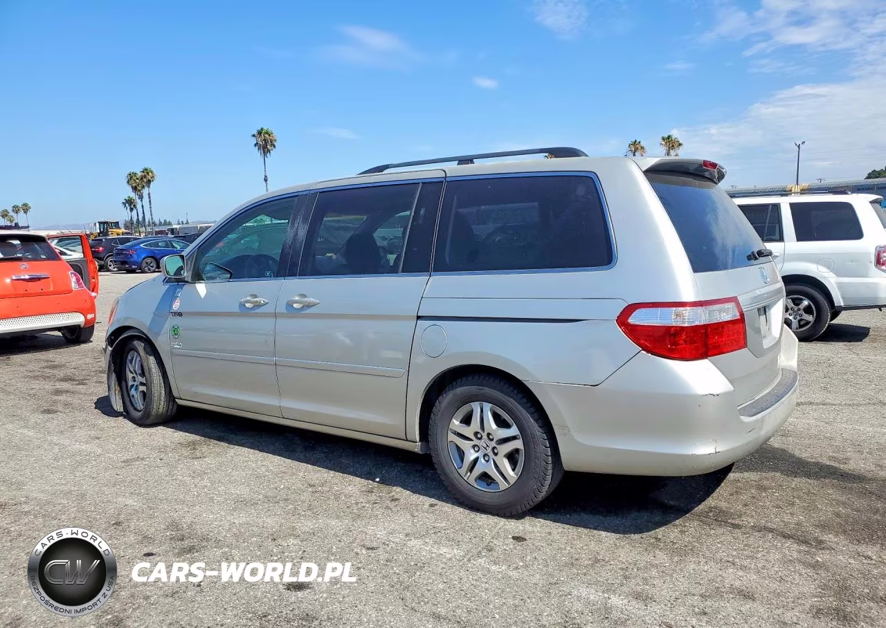 2005 Honda Odyssey Exl VIN:5FNRL38685B411454 - 2