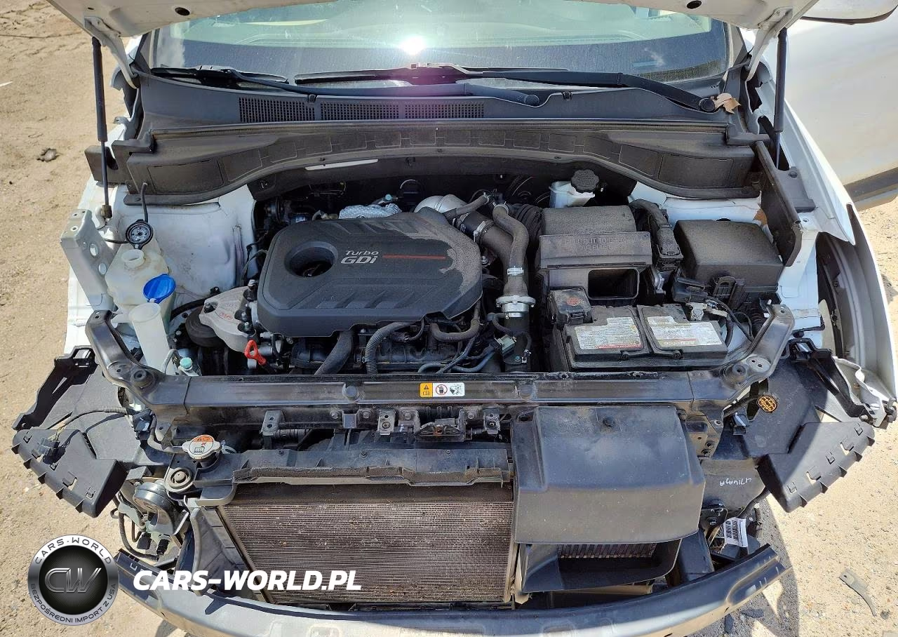 2018 Hyundai Santa Fe Sport 2.0T Ultimate VIN:5XYZW4LA6JG571294 - 12
