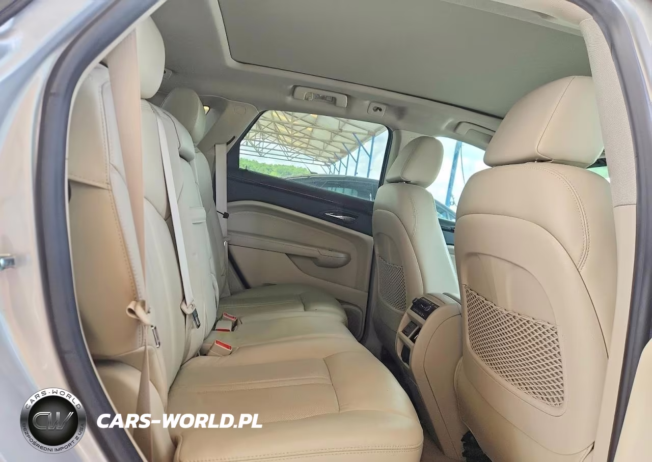 2010 Cadillac Srx Premium Collection VIN:3GYFNCEYXAS652043 - 10