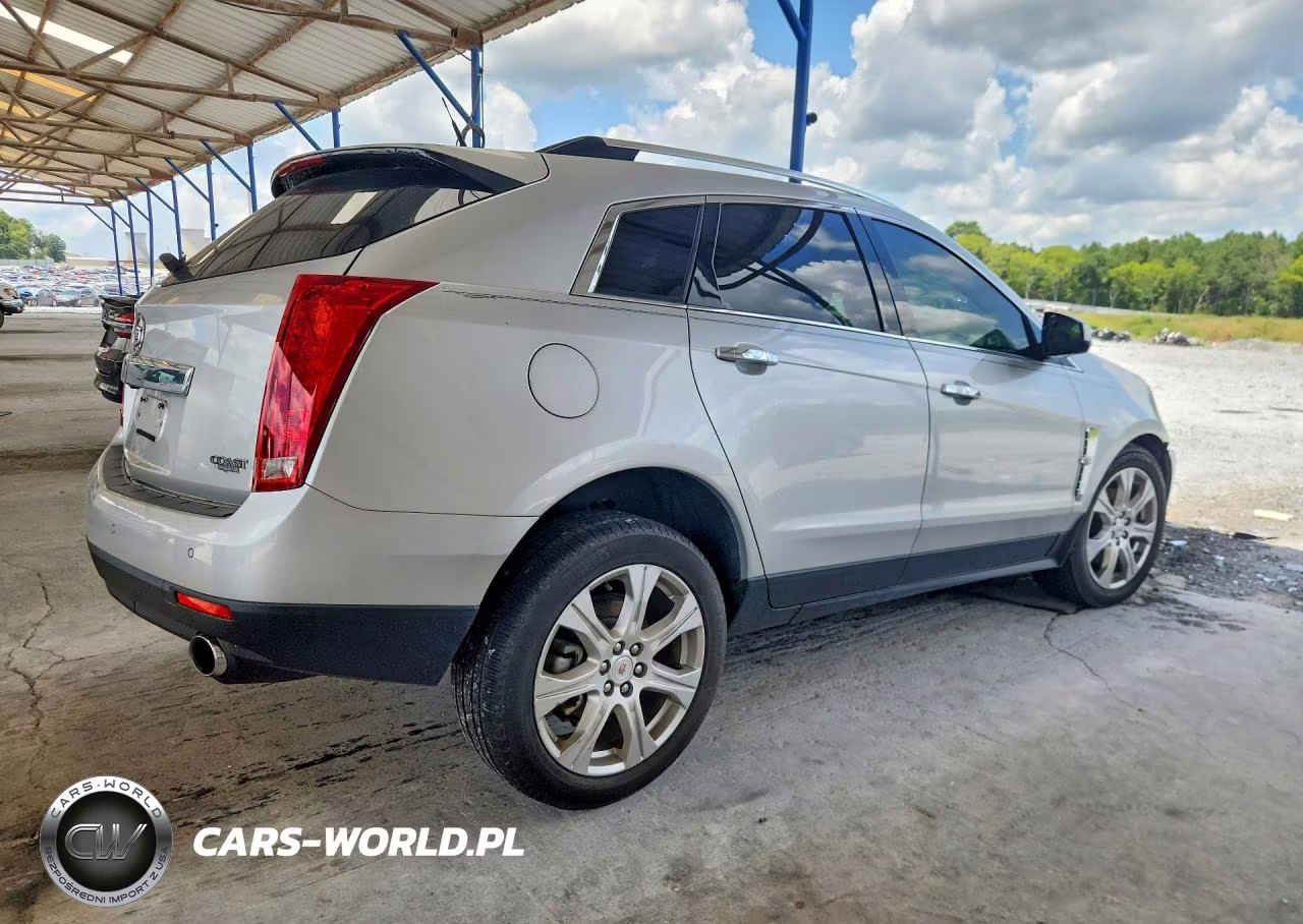 2010 Cadillac Srx Premium Collection VIN:3GYFNCEYXAS652043 - 3
