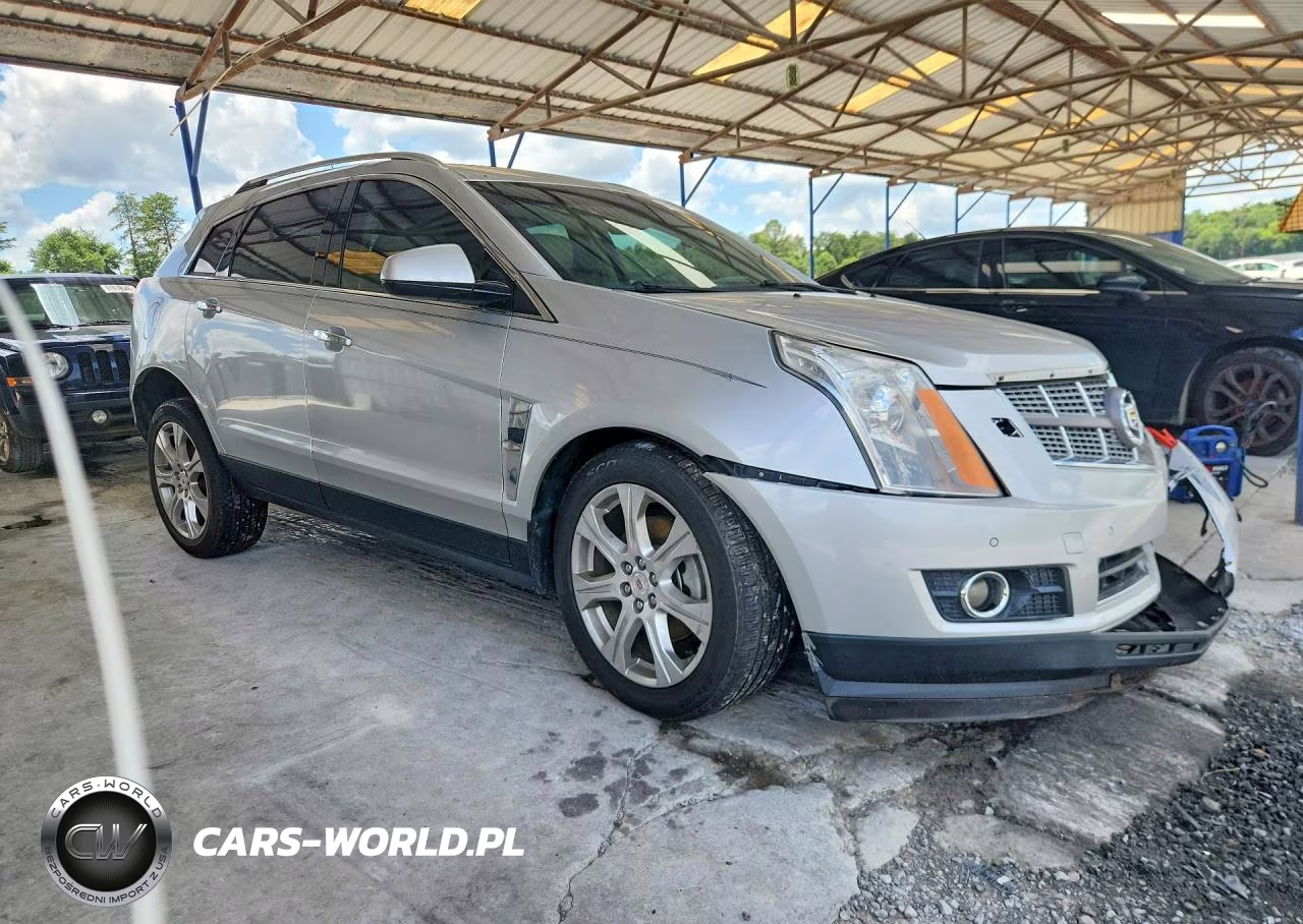 2010 Cadillac Srx Premium Collection VIN:3GYFNCEYXAS652043 - 4
