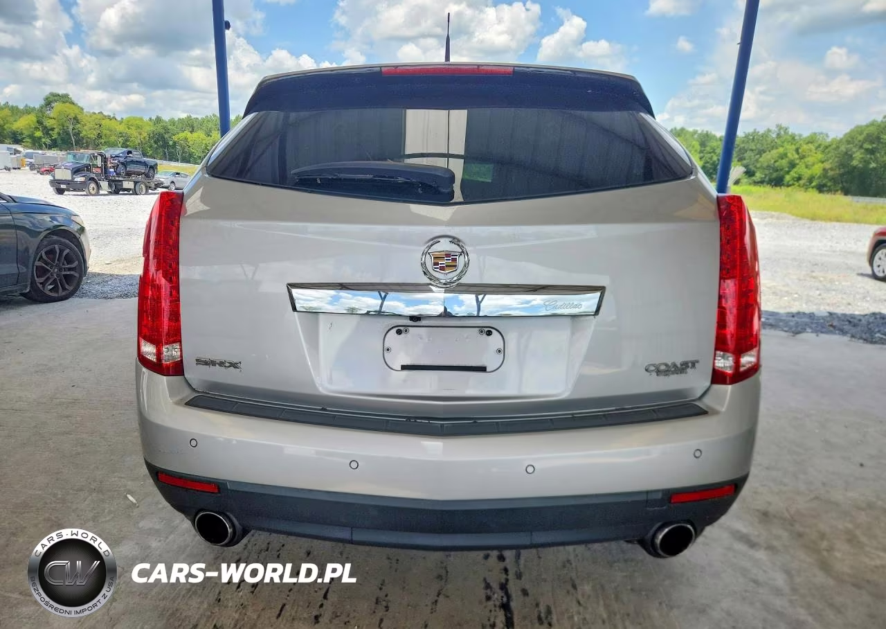 2010 Cadillac Srx Premium Collection VIN:3GYFNCEYXAS652043 - 6