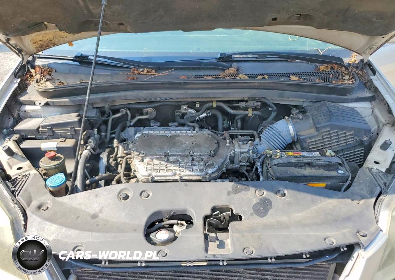 2007 Honda Odyssey Exl VIN:5FNRL38707B073902 - 12