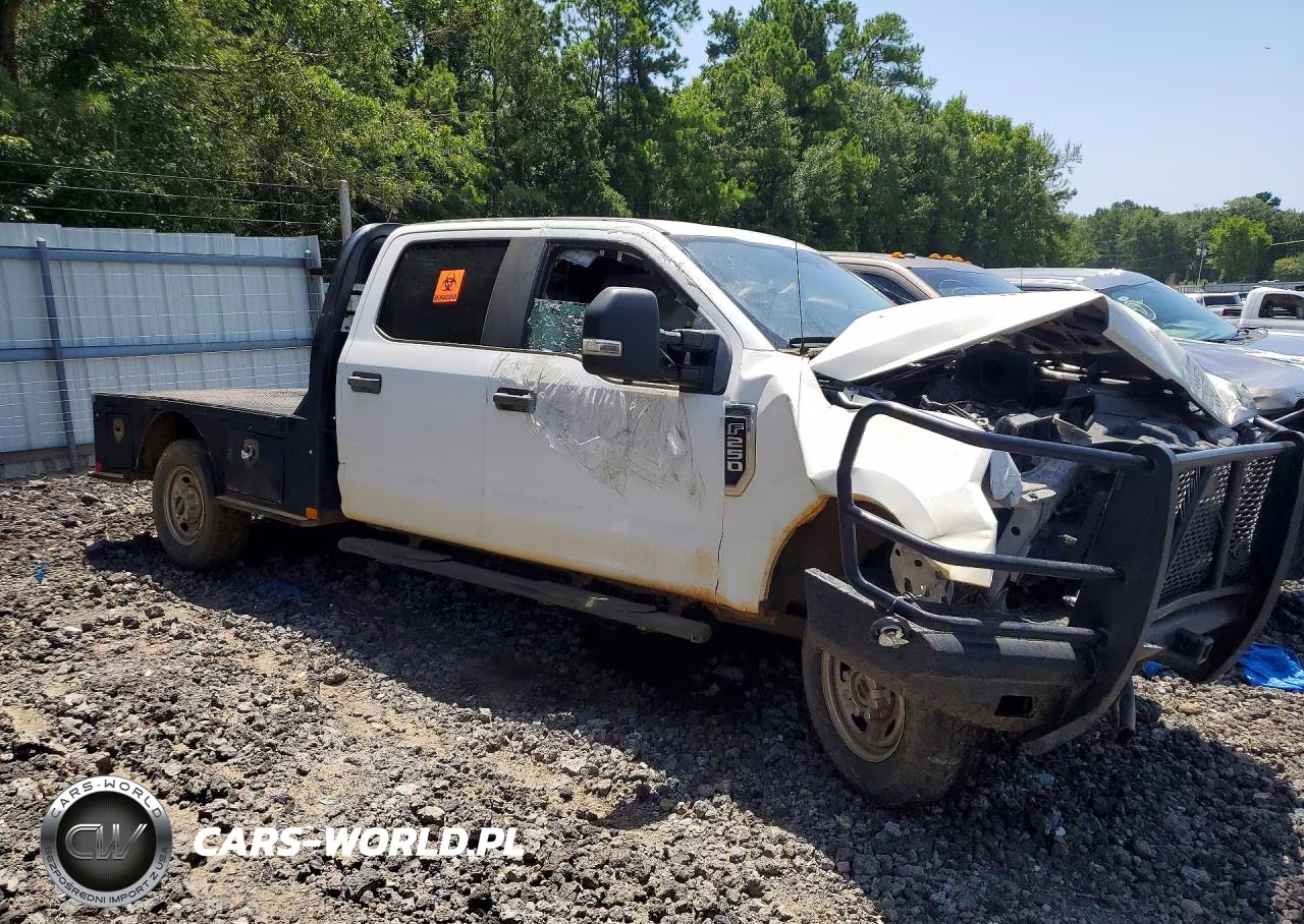 2019 Ford F250 Super Duty VIN:1FT7W2B63KEG06666 - 4