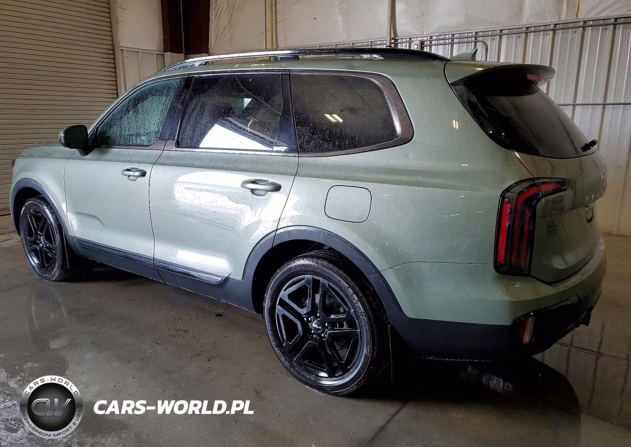2024 Kia Telluride Ex X-Line VIN:5XYP3DGC7RG532687 - 2