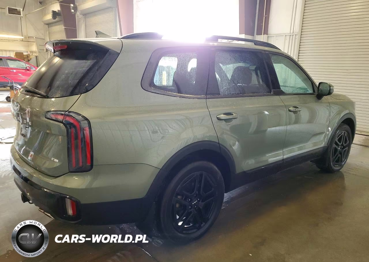 2024 Kia Telluride Ex X-Line VIN:5XYP3DGC7RG532687 - 3