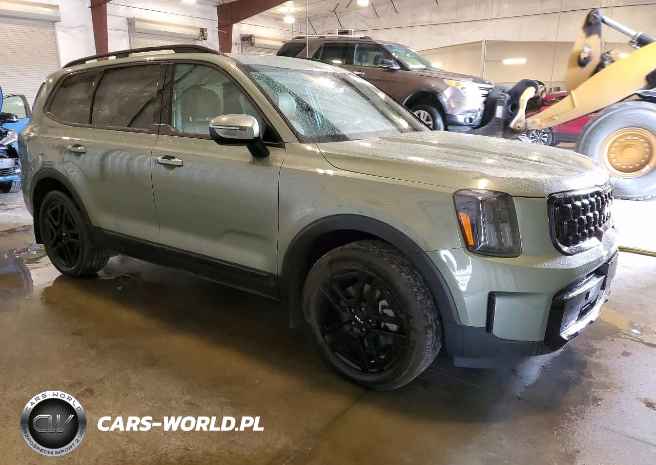2024 Kia Telluride Ex X-Line VIN:5XYP3DGC7RG532687 - 4