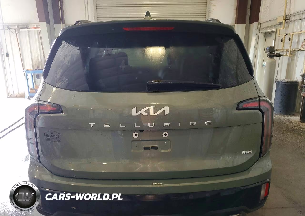2024 Kia Telluride Ex X-Line VIN:5XYP3DGC7RG532687 - 6