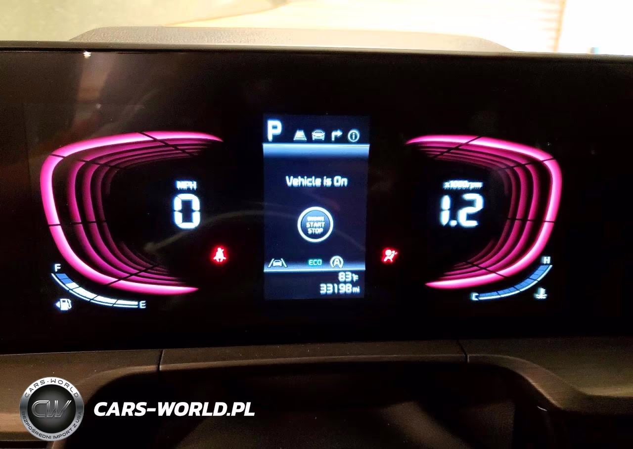 2024 Kia Telluride Ex X-Line VIN:5XYP3DGC7RG532687 - 9
