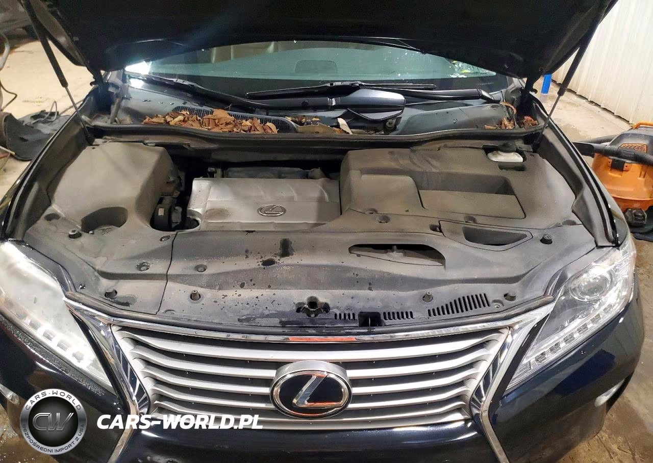 2013 Lexus Rx 350 Base VIN:2T2BK1BA8DC157426 - 12