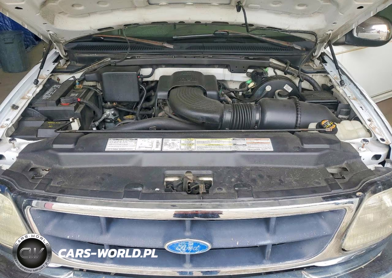 1997 Ford F150 VIN:1FTDF176XVLB44175 - 11