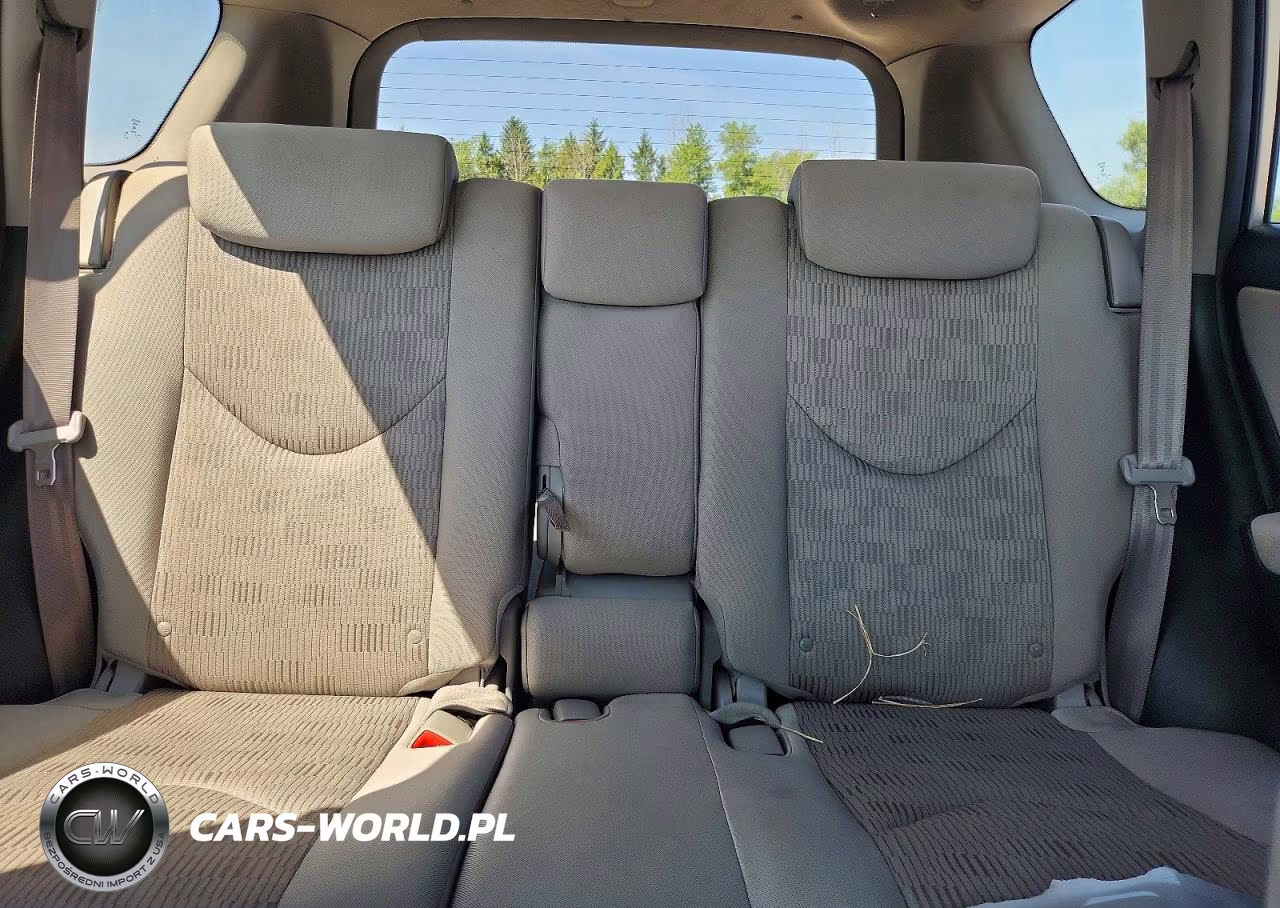 2009 Toyota Rav4 Base VIN:2T3ZF33V19W010009 - 10