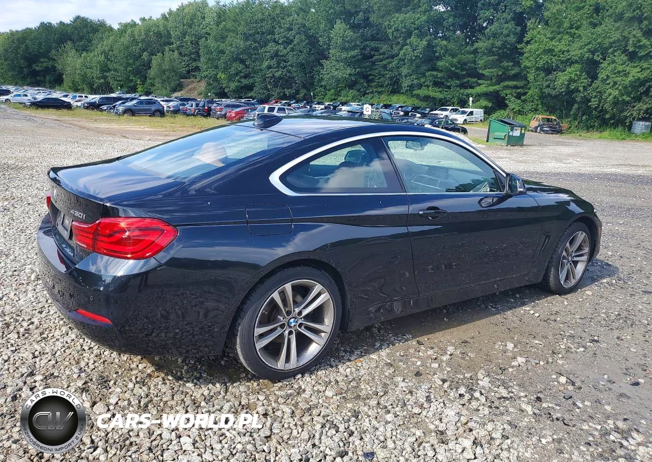 2019 BMW 430Xi VIN:WBA4W5C58KAE43644 - 3