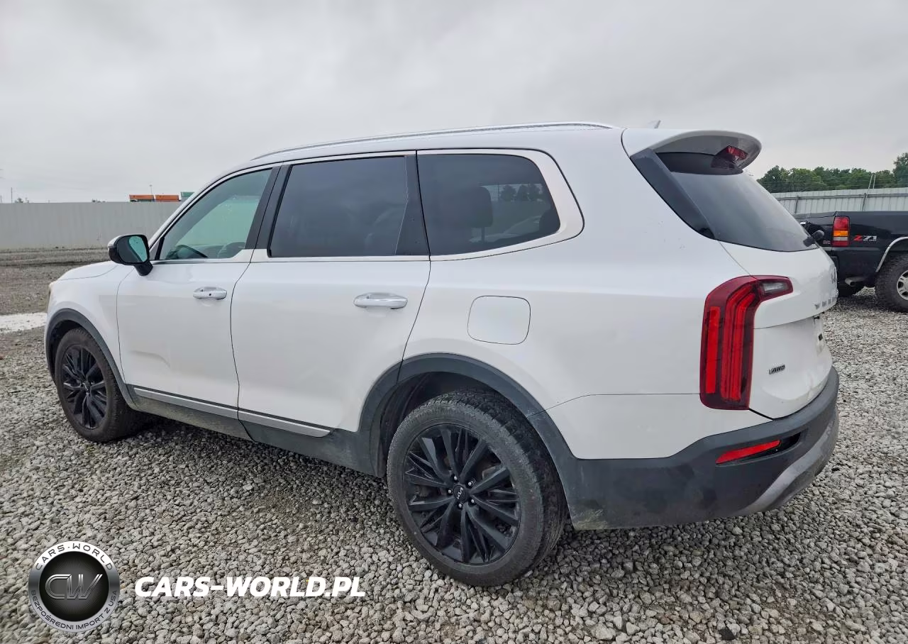 2022 Kia Telluride VIN:5XYP5DHC1NG320435 - 2