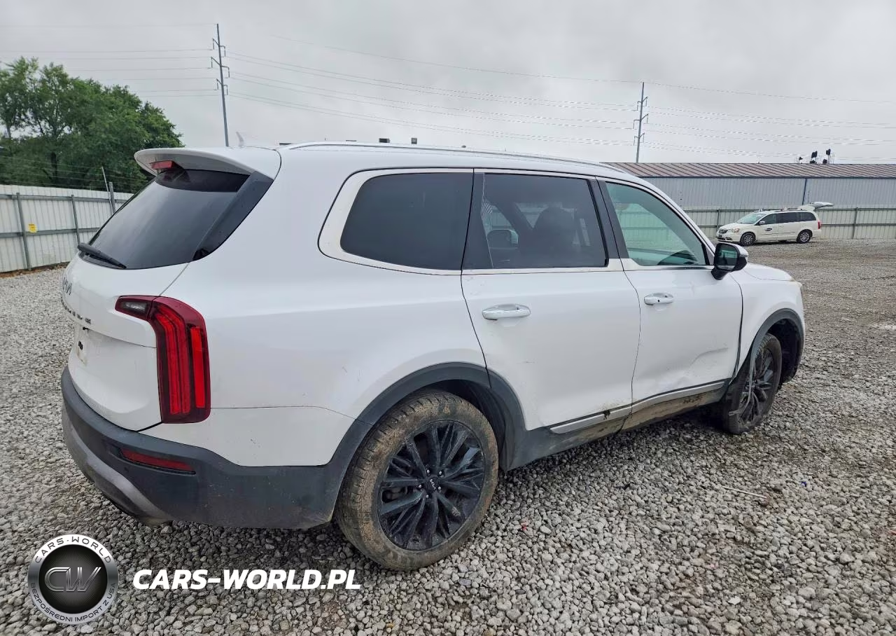 2022 Kia Telluride VIN:5XYP5DHC1NG320435 - 3