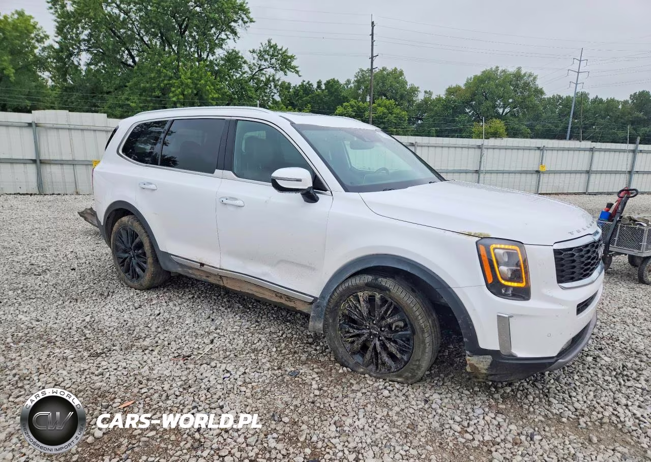 2022 Kia Telluride VIN:5XYP5DHC1NG320435 - 4