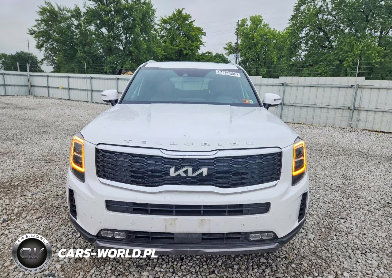 2022 Kia Telluride VIN:5XYP5DHC1NG320435 - 5