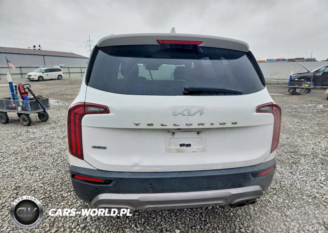 2022 Kia Telluride VIN:5XYP5DHC1NG320435 - 6