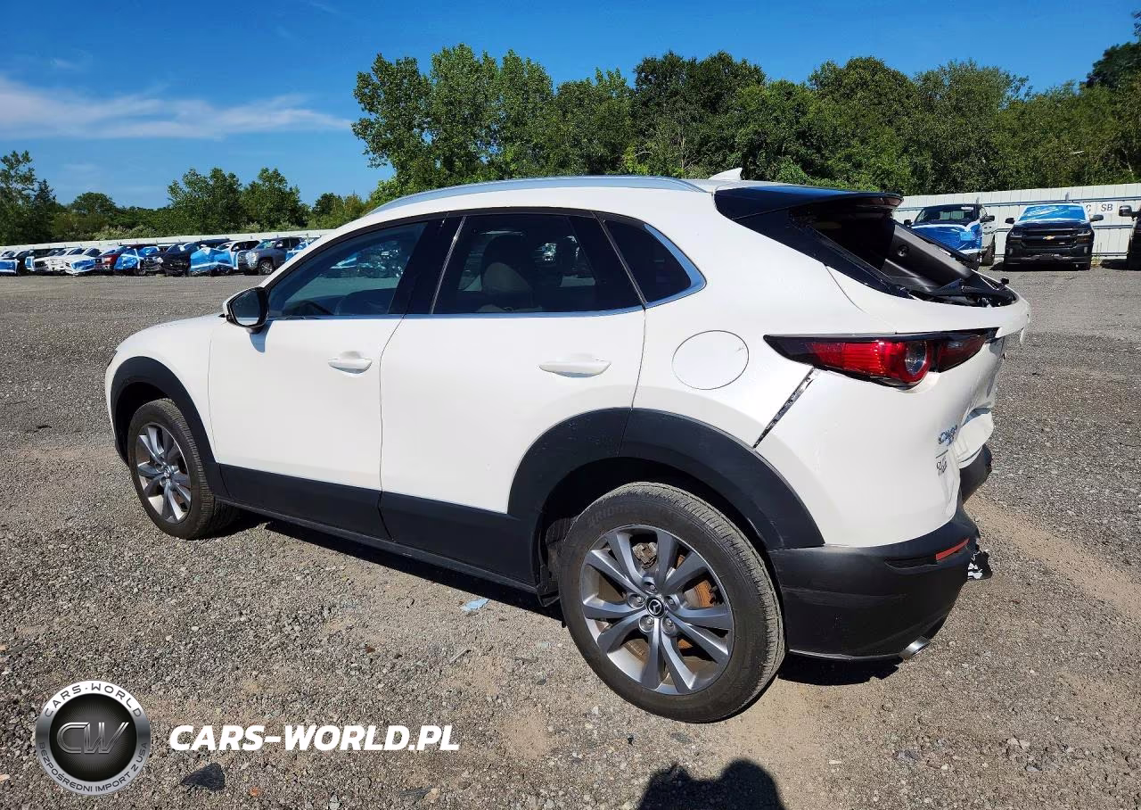 2024 Mazda Cx-30 Premium VIN:3MVDMBDM2RM711996 - 2