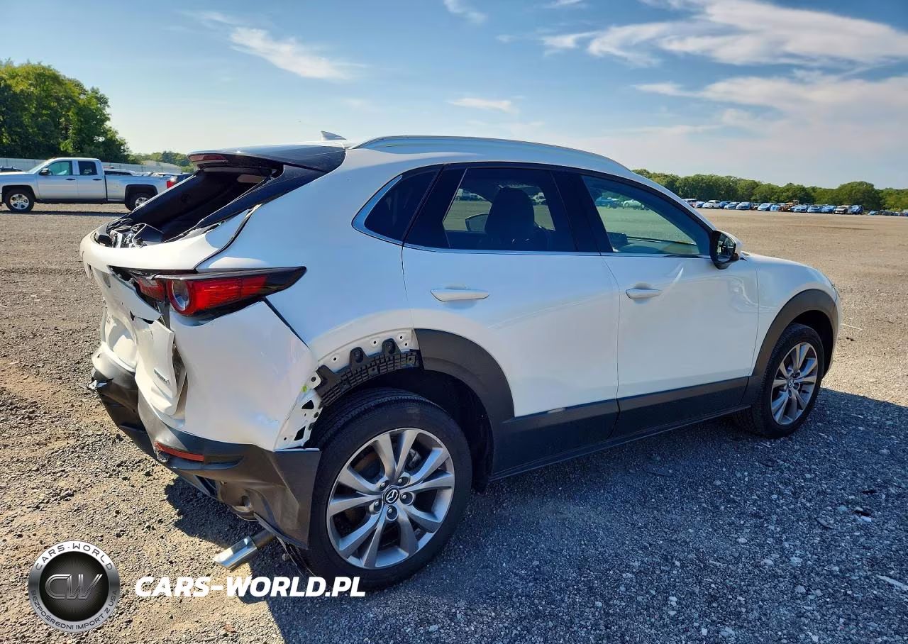 2024 Mazda Cx-30 Premium VIN:3MVDMBDM2RM711996 - 3