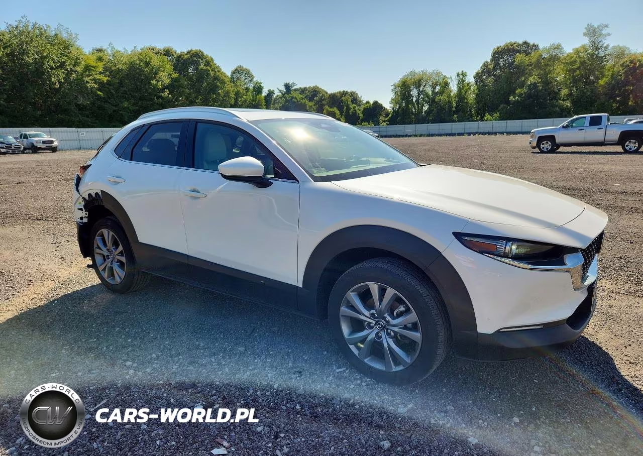 2024 Mazda Cx-30 Premium VIN:3MVDMBDM2RM711996 - 4