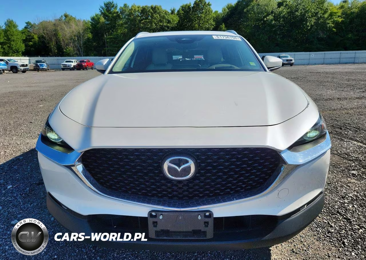 2024 Mazda Cx-30 Premium VIN:3MVDMBDM2RM711996 - 5