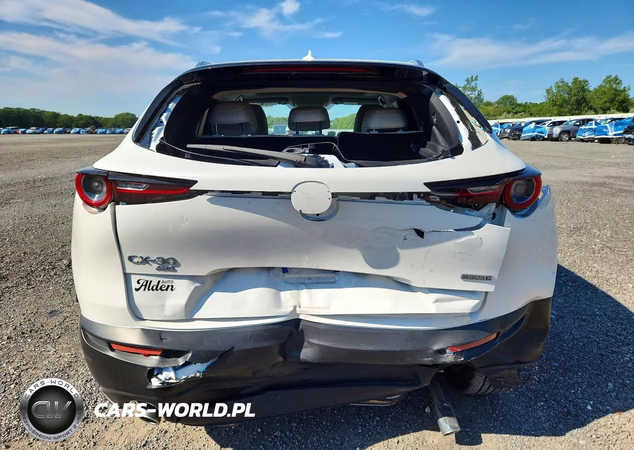 2024 Mazda Cx-30 Premium VIN:3MVDMBDM2RM711996 - 6