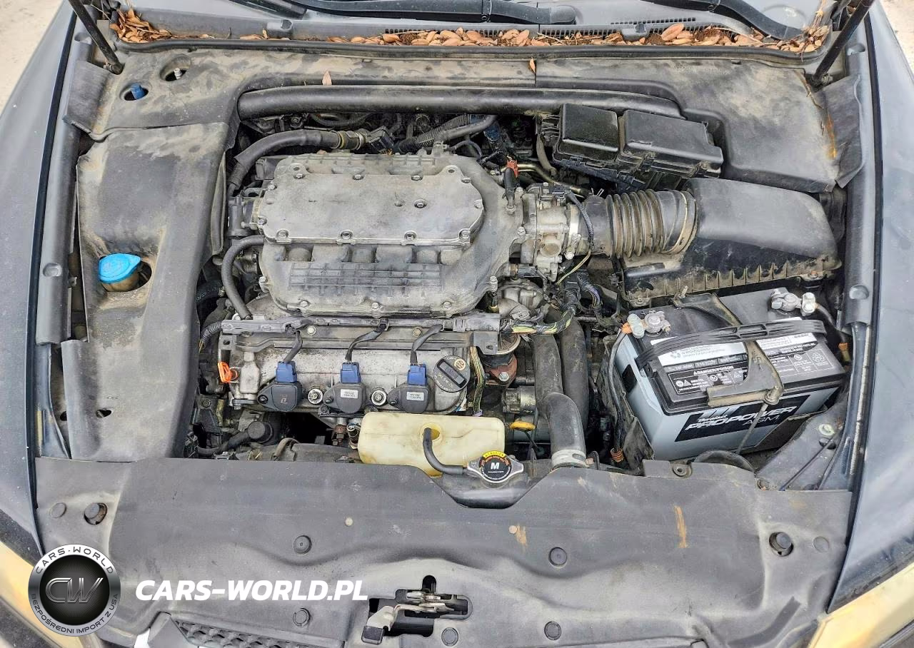 2007 Acura Tl VIN:19UUA66207A019647 - 11