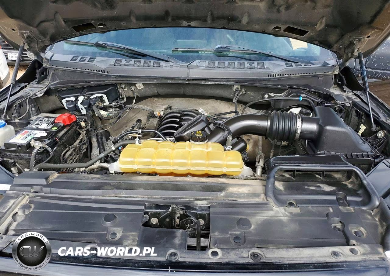 2020 Ford F150 Supercrew VIN:1FTEW1E52LKD43058 - 11