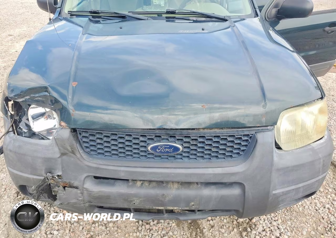 2004 Ford Escape Xls VIN:1FMCU92174DA15276 - 12