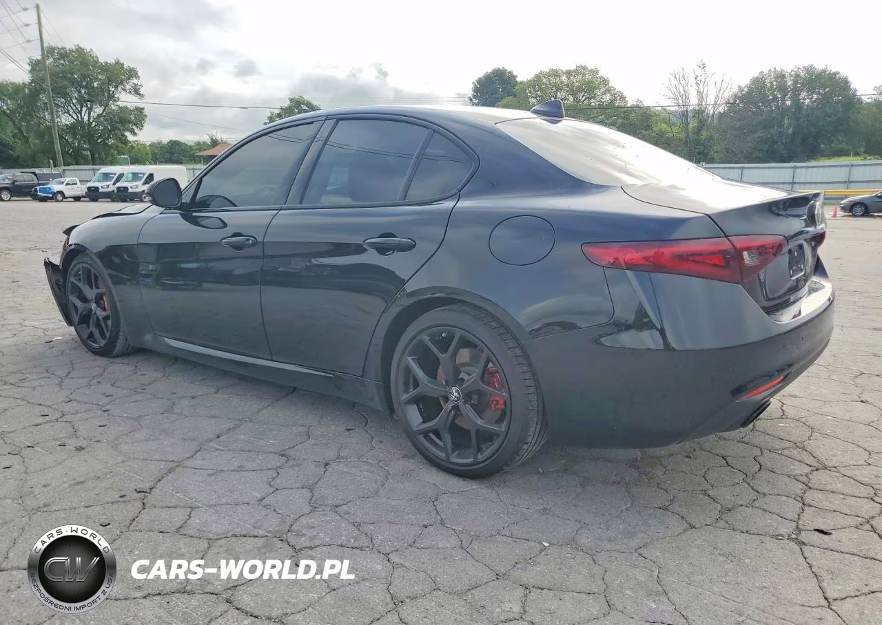 2020 Alfa Romeo Giulia VIN:ZARFAMANXL7633602 - 2