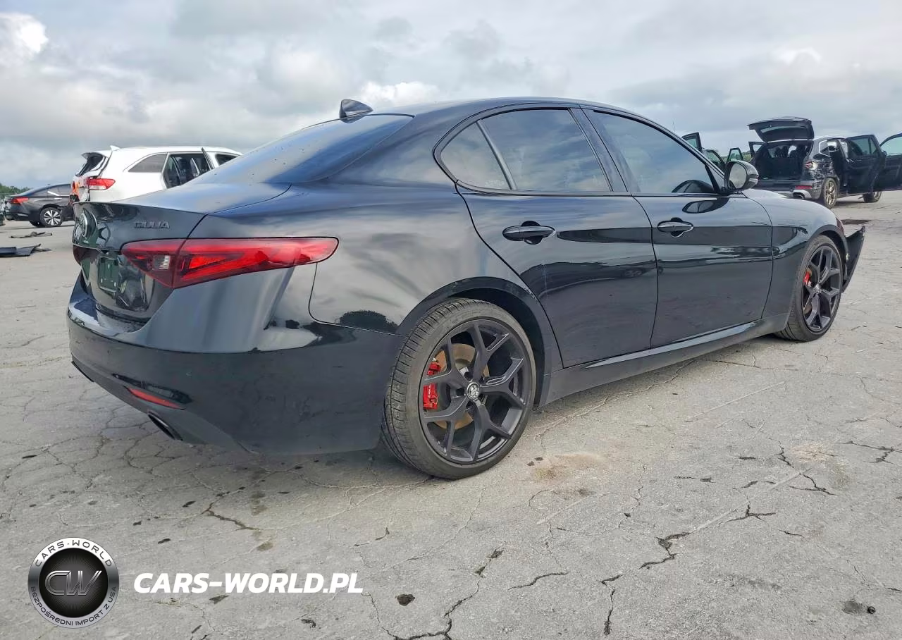 2020 Alfa Romeo Giulia VIN:ZARFAMANXL7633602 - 3