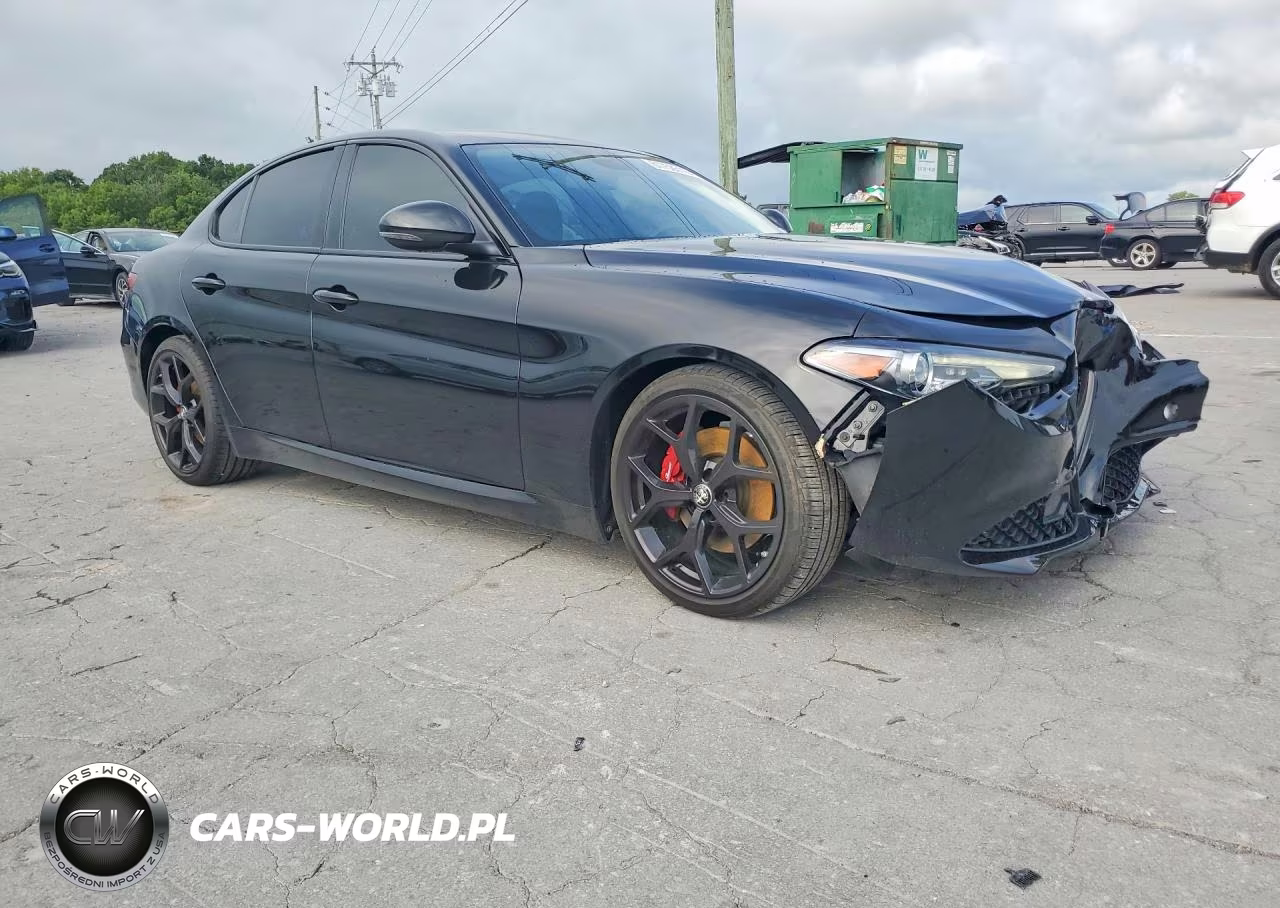 2020 Alfa Romeo Giulia VIN:ZARFAMANXL7633602 - 4