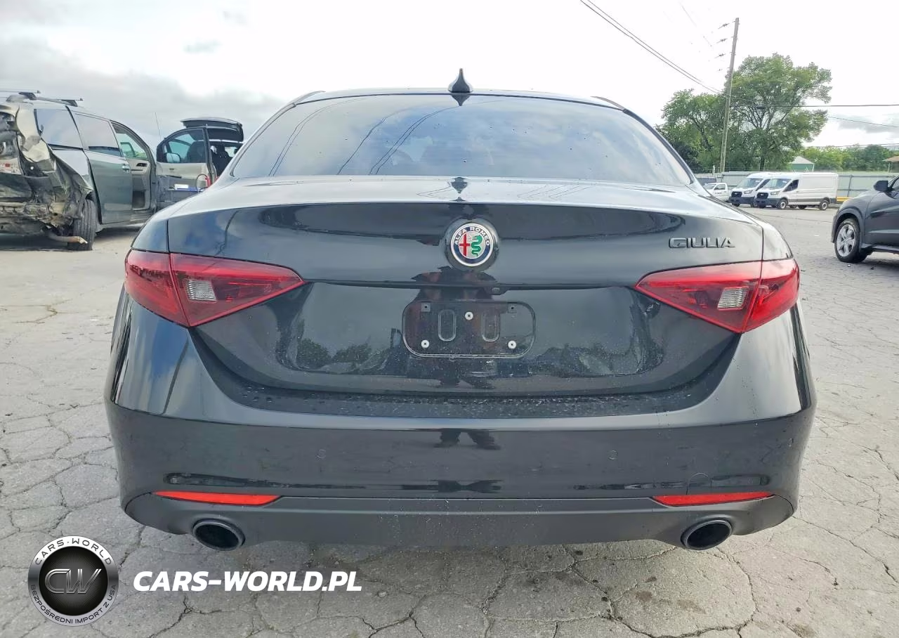 2020 Alfa Romeo Giulia VIN:ZARFAMANXL7633602 - 6