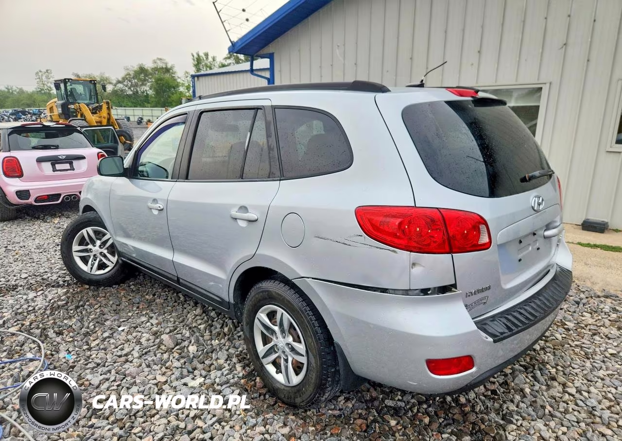 2009 Hyundai Santa Fe Gls VIN:5NMSG13D09H300515 - 2