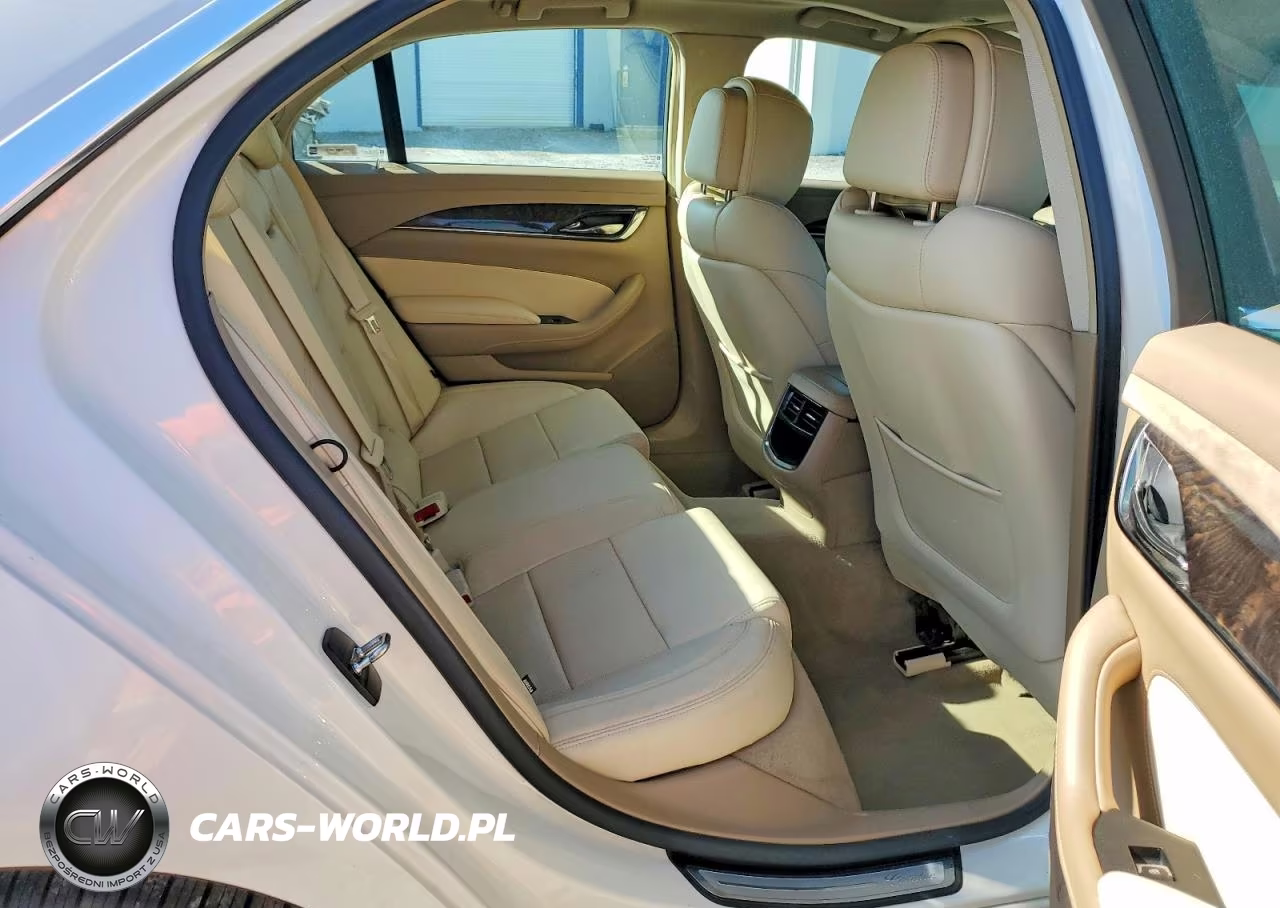 2014 Cadillac Cts Luxury Collection VIN:1G6AX5SX9E0181164 - 10