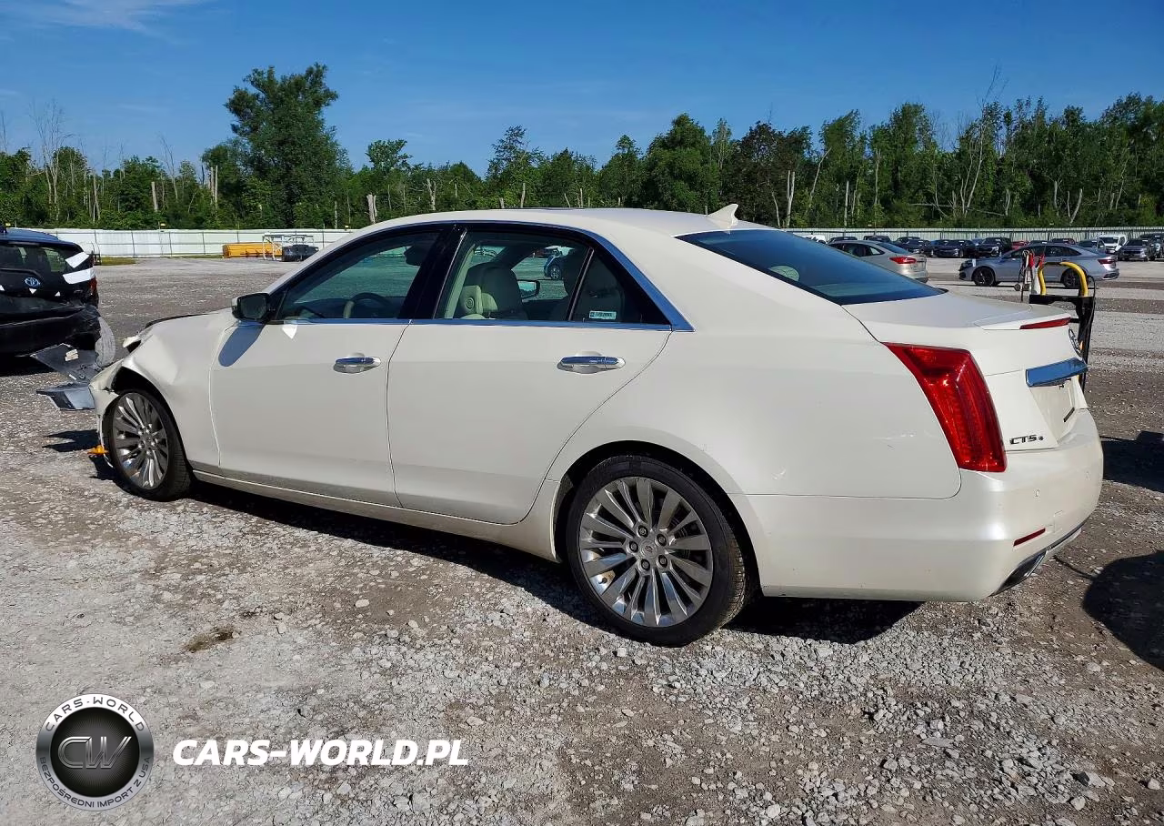 2014 Cadillac Cts Luxury Collection VIN:1G6AX5SX9E0181164 - 2