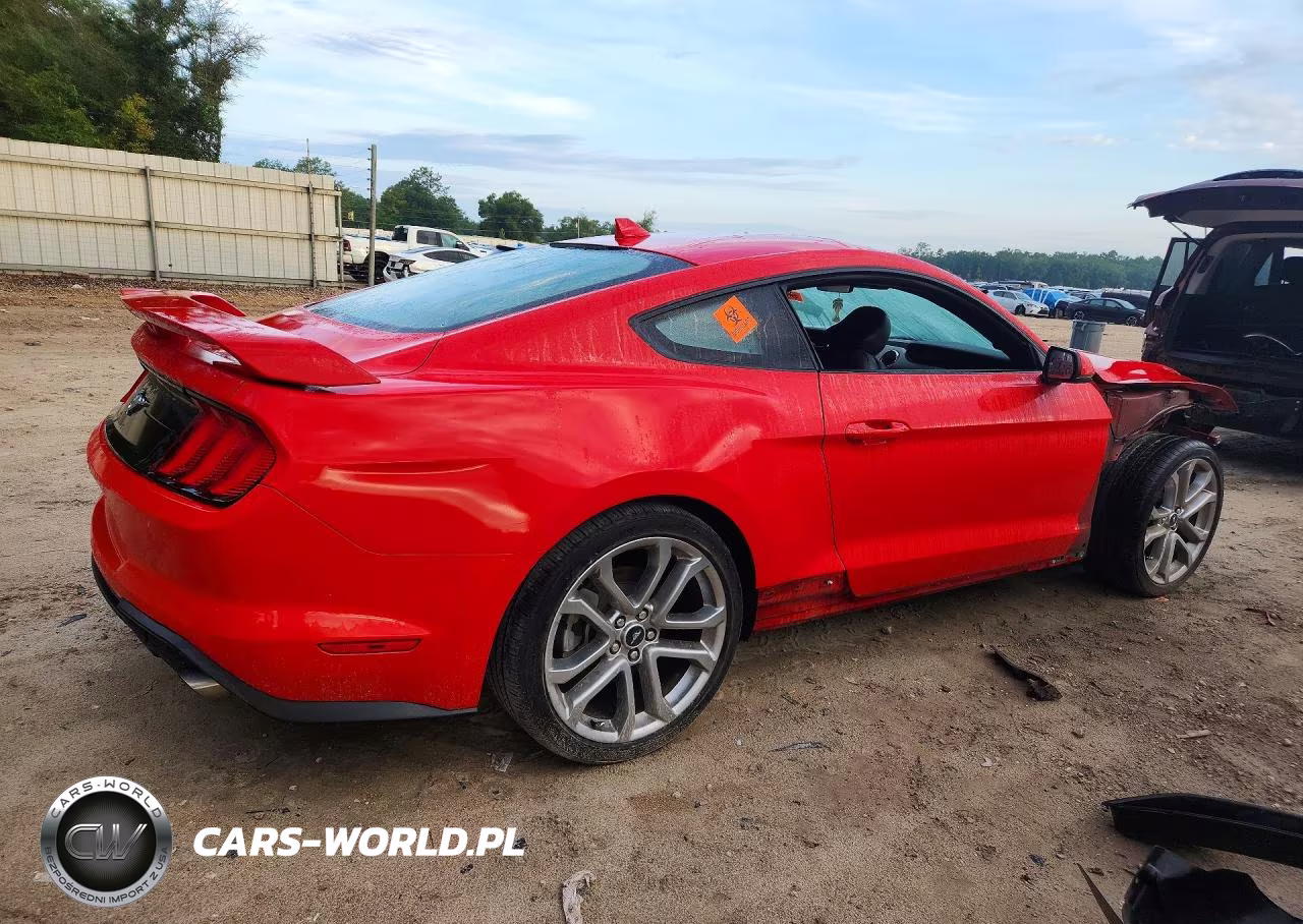 2022 Ford Mustang VIN:1FA6P8TH2N5131677 - 3