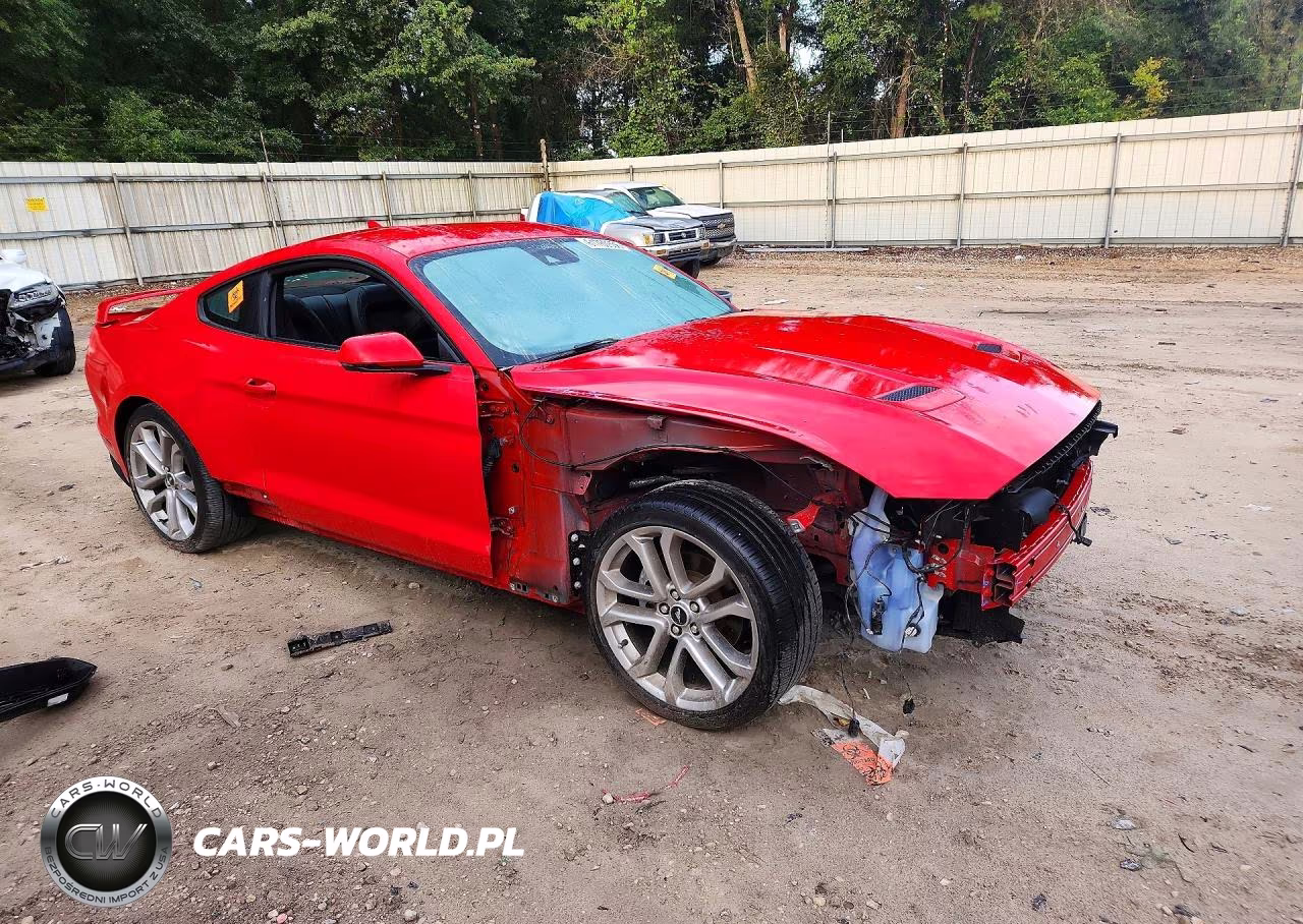 2022 Ford Mustang VIN:1FA6P8TH2N5131677 - 4