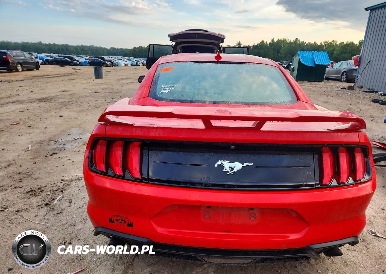 2022 Ford Mustang VIN:1FA6P8TH2N5131677 - 6