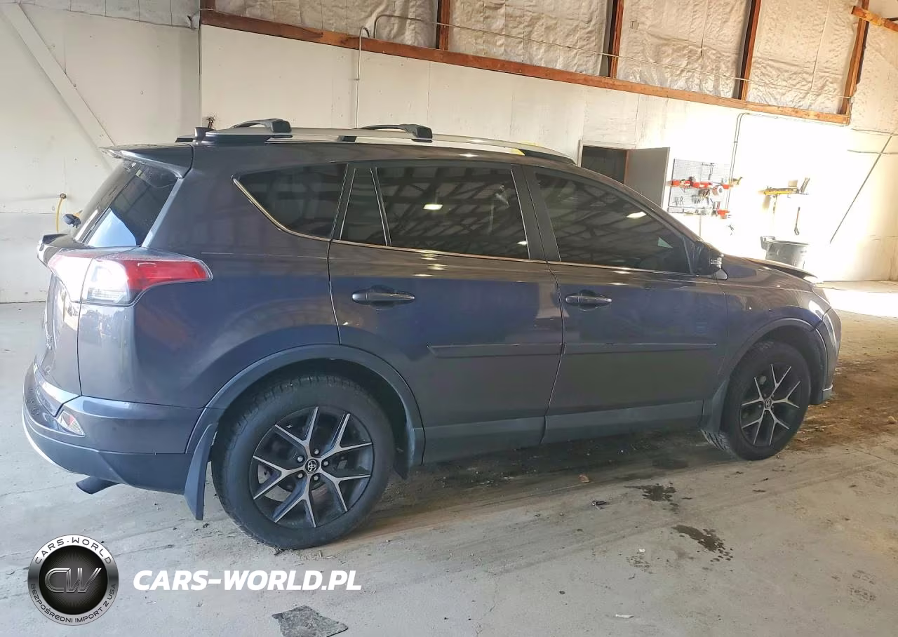 2016 Toyota Rav4 Se VIN:2T3JFREV8GW409042 - 3