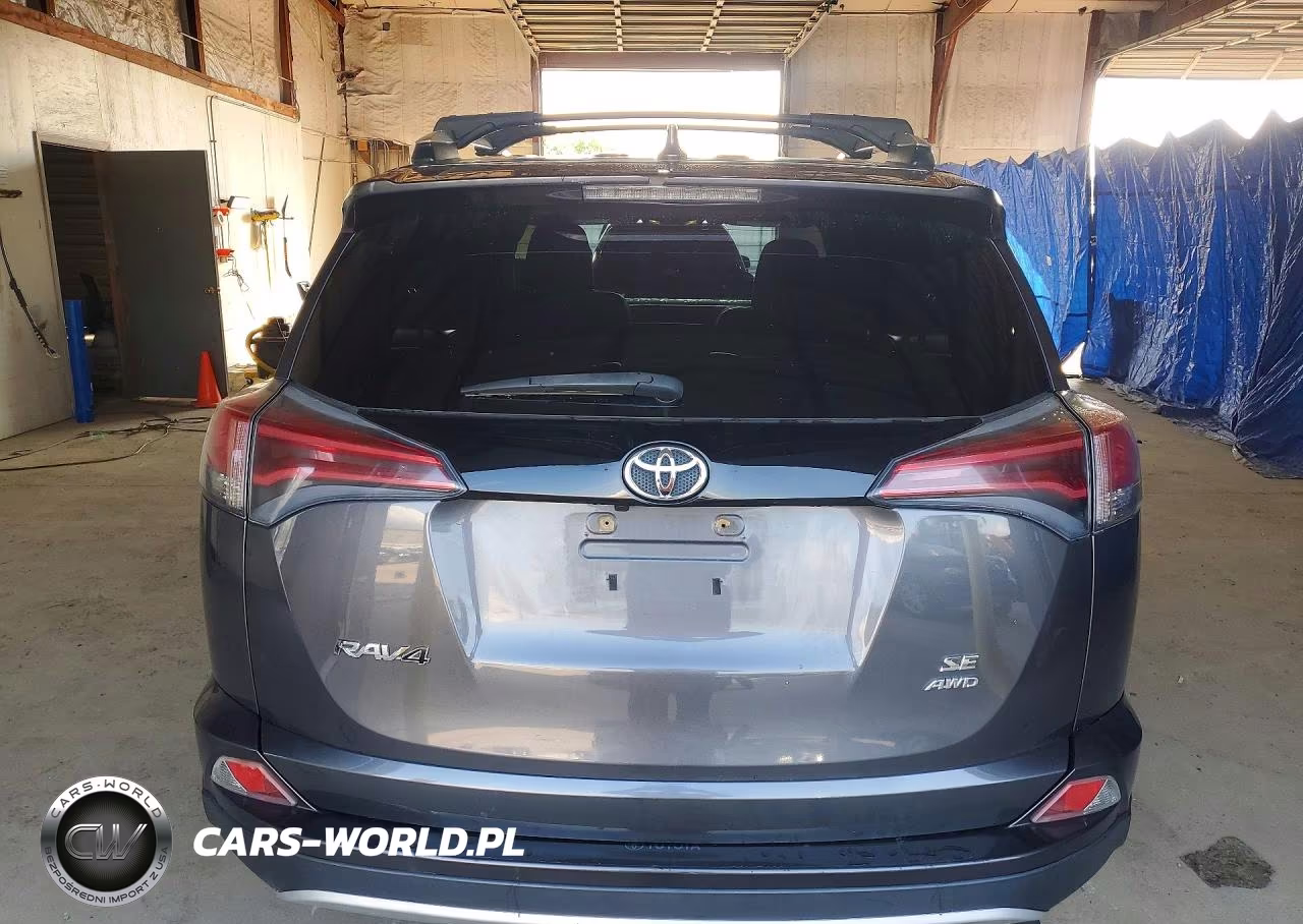 2016 Toyota Rav4 Se VIN:2T3JFREV8GW409042 - 6