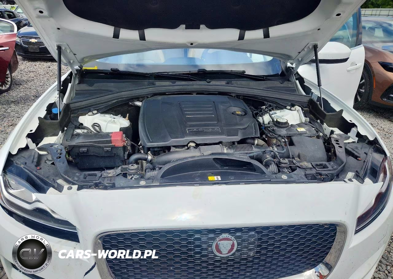 2019 Jaguar F-Pace Prestige VIN:SADCK2FX0KA609419 - 11